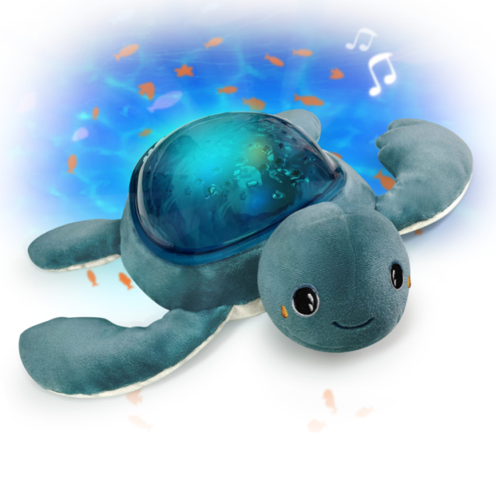 Pabobo Schildpad aqua dream