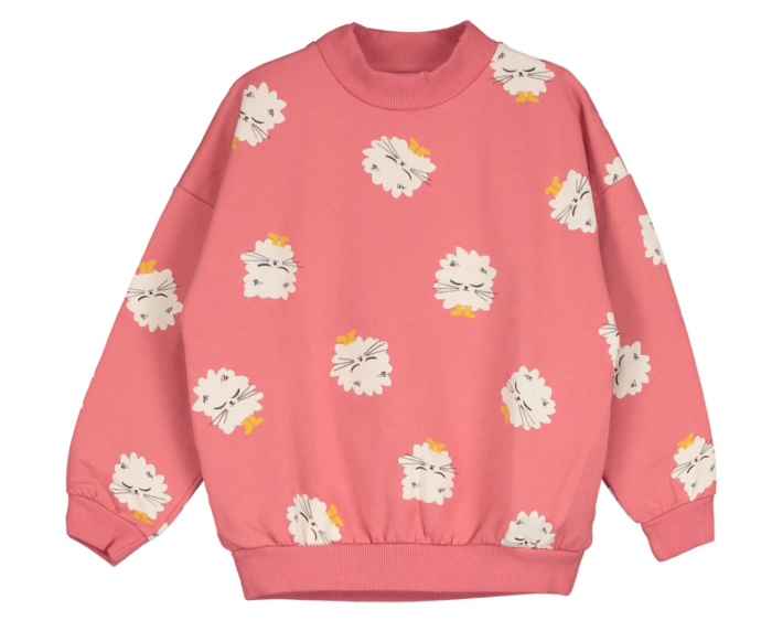 Lötiekids Sweater cat corail